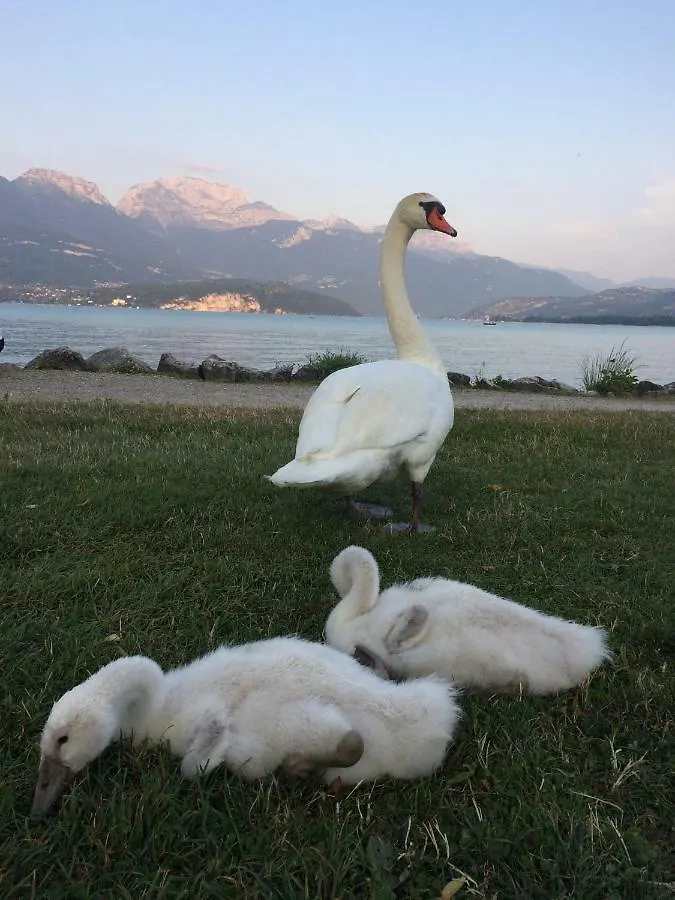 Apartment La Baie Des Voiles ,Vue Lac D'Annecy ,Plage Privee Duingt
